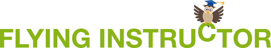 Flying Instructor Logo